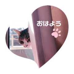 saya_20200309174420