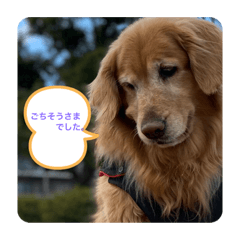 Ayumi_20200309222708