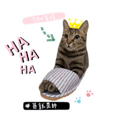 臭臉的日常