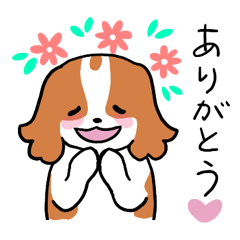 Cute Cavalier Dog Everyday Stickers