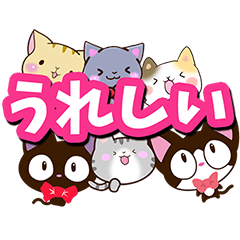 6 cute cats! (Various replies)