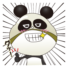 Wrestling mask panda