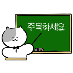 Kitty Teacher