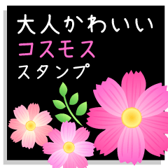 OTONAKAWAII- Cosmos flower