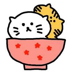 茶碗猫
