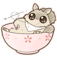 よちよち こあら Line スタンプ Line Store
