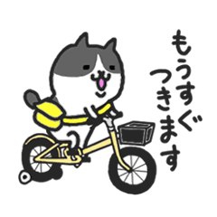 Kawaii! Speaking Japanese cat 2