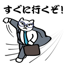 Cat boss "Mr.TA"