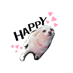 yurina_20200310111825