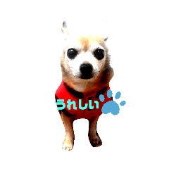 taki_20200310141639