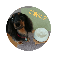 Dachshund PEACE