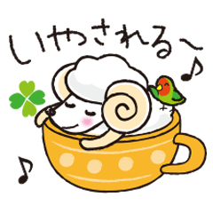 teacup sheep