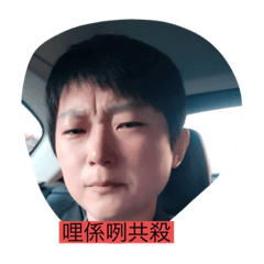 笨蛋和傻妞日常2