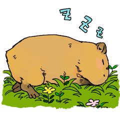 Capybara Life