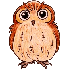 Daily small owl
