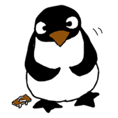 Tomo of Penguin