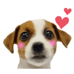 the daily life of Rusk NO.3