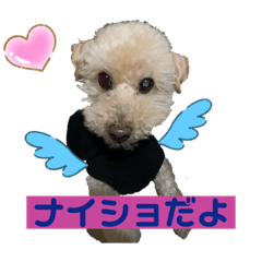 yamato&mugi_20200311024911