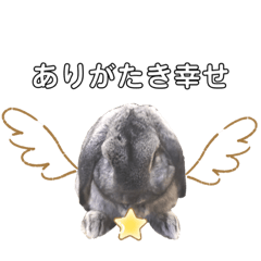 Aluvoil_20200311081514