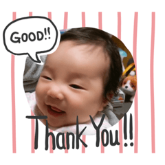 ringo_20200311094258