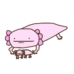 Pee-chan of axolotl