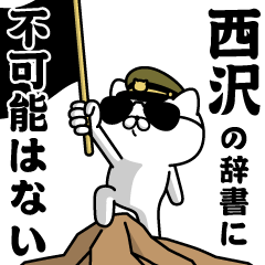 "NISHIZAWA"name/Military cat