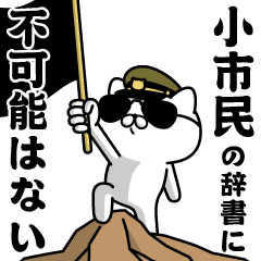 "SHOUSHIMIN"name/Military cat