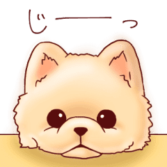 Dog Dog Dog Line Stickers Line Store