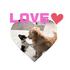 4484yuriko_20200311103440