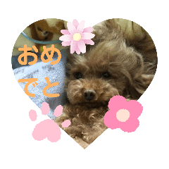 mochi_20200311130855