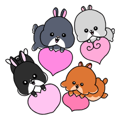 うさぎ ファミリー ammky