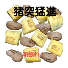 ringo_20200311142231