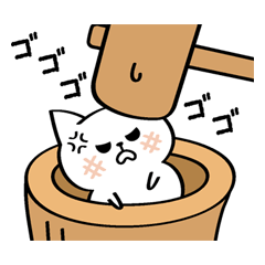 rice cake cat.