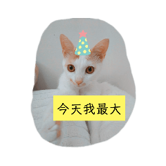 Vivian的日常昂