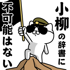 "KOYANAGI"name/Military cat