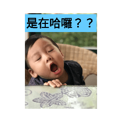 偉寶日記2