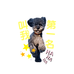 林娃娃の日常