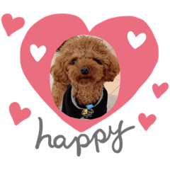 cocoa_20200311222322