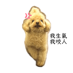 芒叮咚小麻吉1