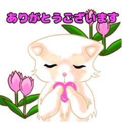 Everyday cute cats words