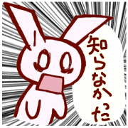 Mi rabbit