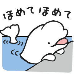 White Dolphin Japanese Line Stickers Line Store White Dolphin Japanese Line Stickers Line Store
