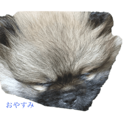 Ponta_20200312002800
