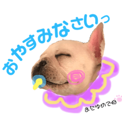 SAYURI_20200312003852