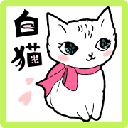 Fairy white cat 2