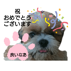 yukari_20200312095844