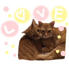 marina_20200312115139