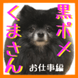 黒ポメくまさんpart3 Line スタンプ Line Store 黒ポメくまさんpart3 Line スタンプ Line Store