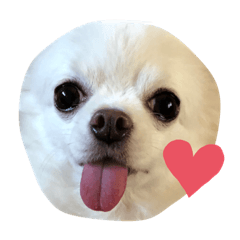 yukari_20200312174549