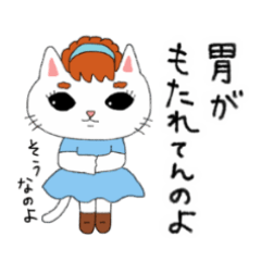Cute and stylish cat Shirasu 3